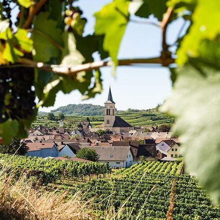 Braviscasa - Ferienresidenz Haus Am Bach Vogtsburg Am Kaiserstuhl Zewnętrze zdjęcie