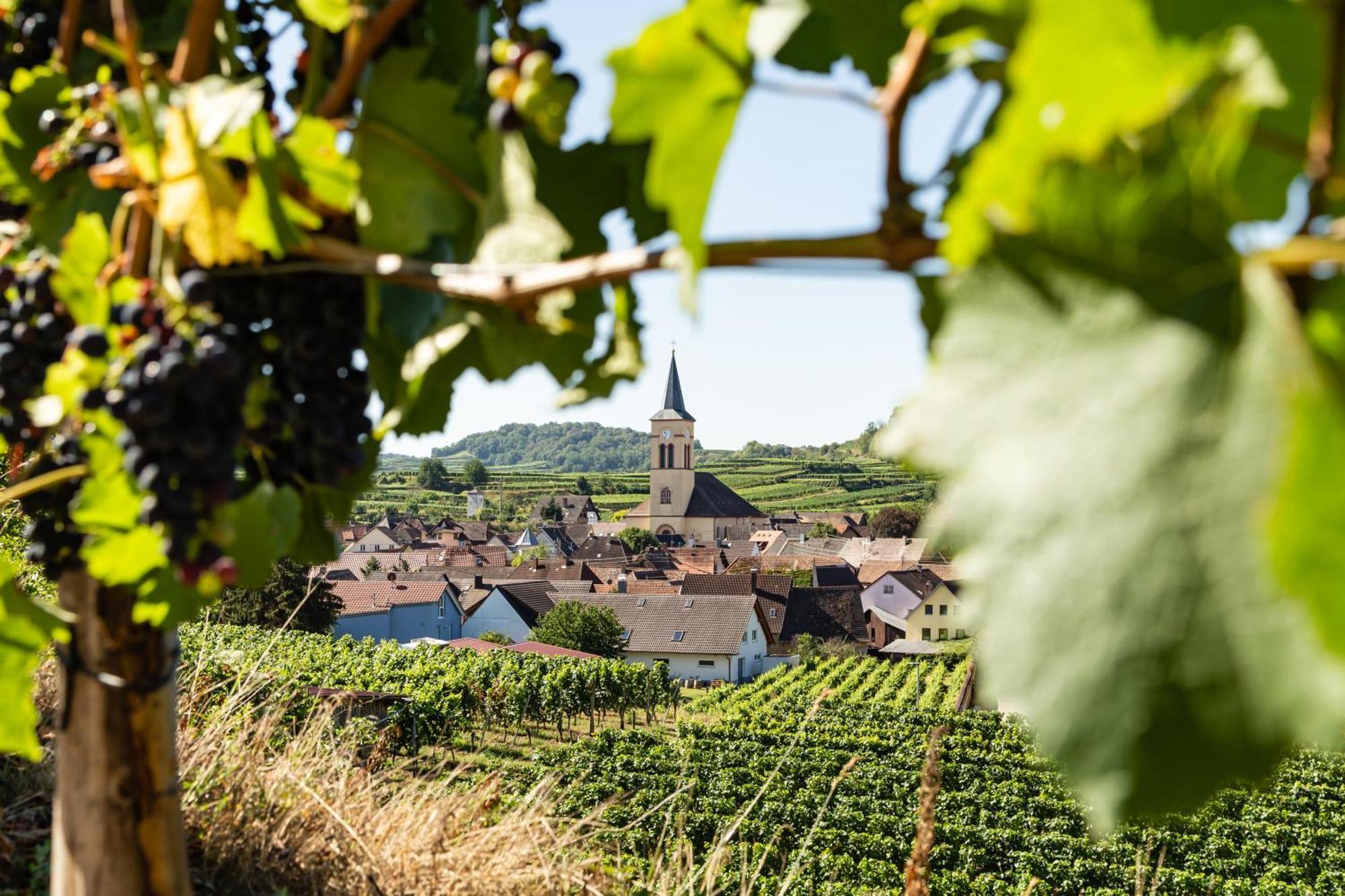 Braviscasa - Ferienresidenz Haus Am Bach Vogtsburg Am Kaiserstuhl Zewnętrze zdjęcie
